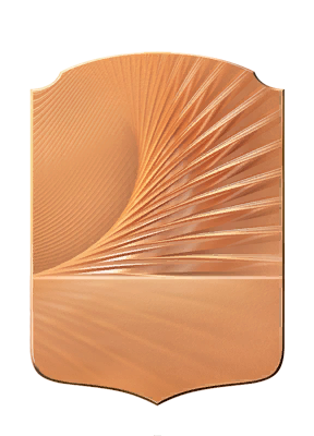 Bronze Player badge